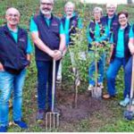 Theaterverein pflanzt Pflaumenbaum für die Baumpflanz-Challenge